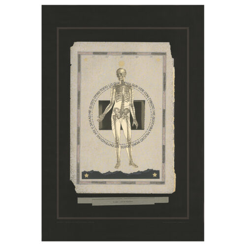 Anatomia