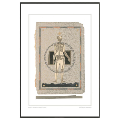 Anatomia 2
