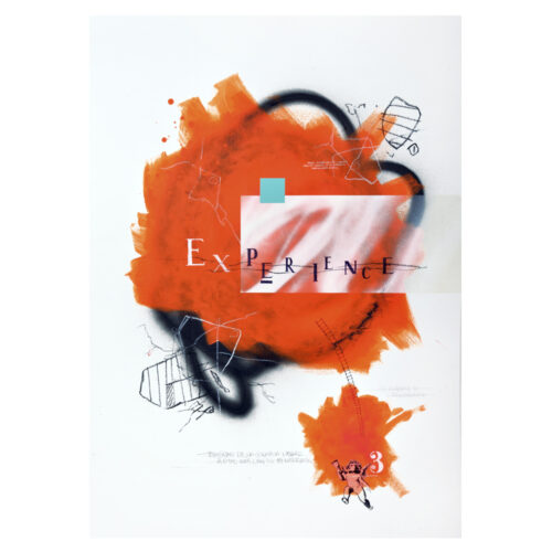 Experience