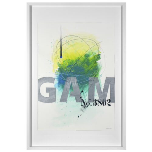 Gam Nº 3801